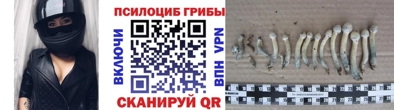 Галлюциногенные грибы GOLDEN TEACHER  Верея 
